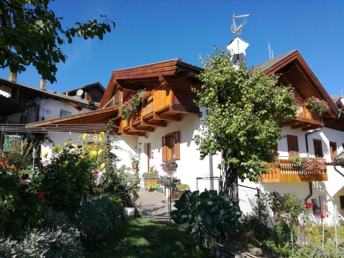 La Cesura Bed and Breakfast Carano  Exteriör bild