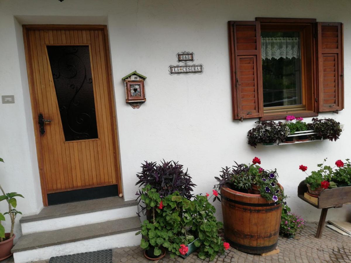La Cesura Bed and Breakfast Carano  Exteriör bild