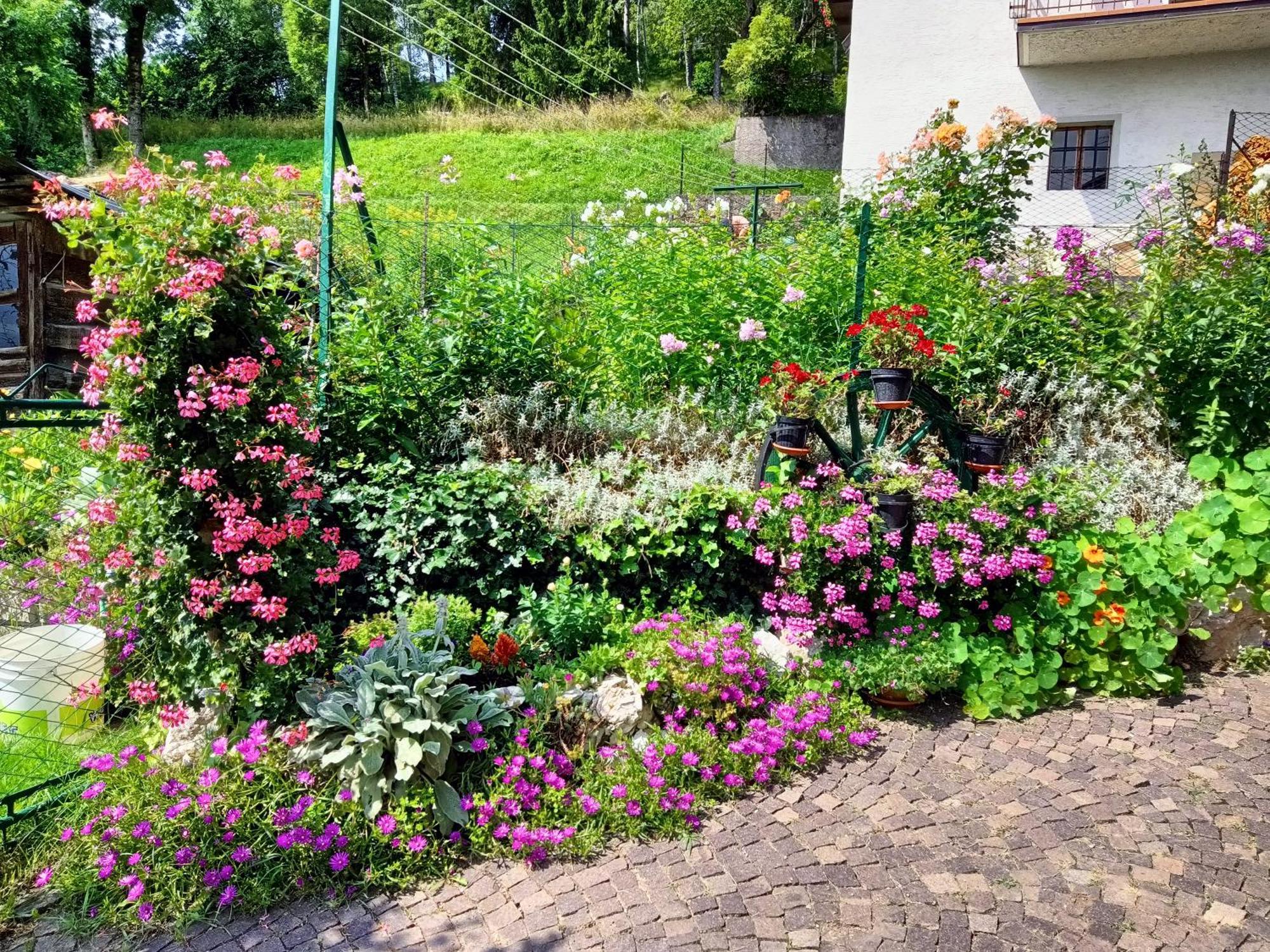 La Cesura Bed and Breakfast Carano  Exteriör bild